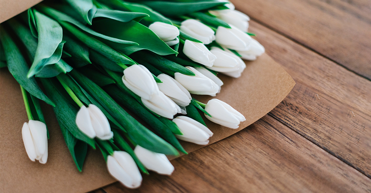 Apologising With Flowers
