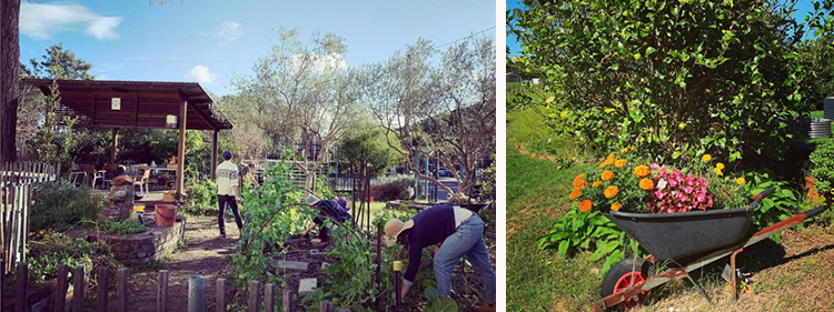 People Working in a garden