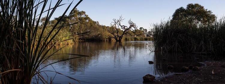 Melton Botanic Garden