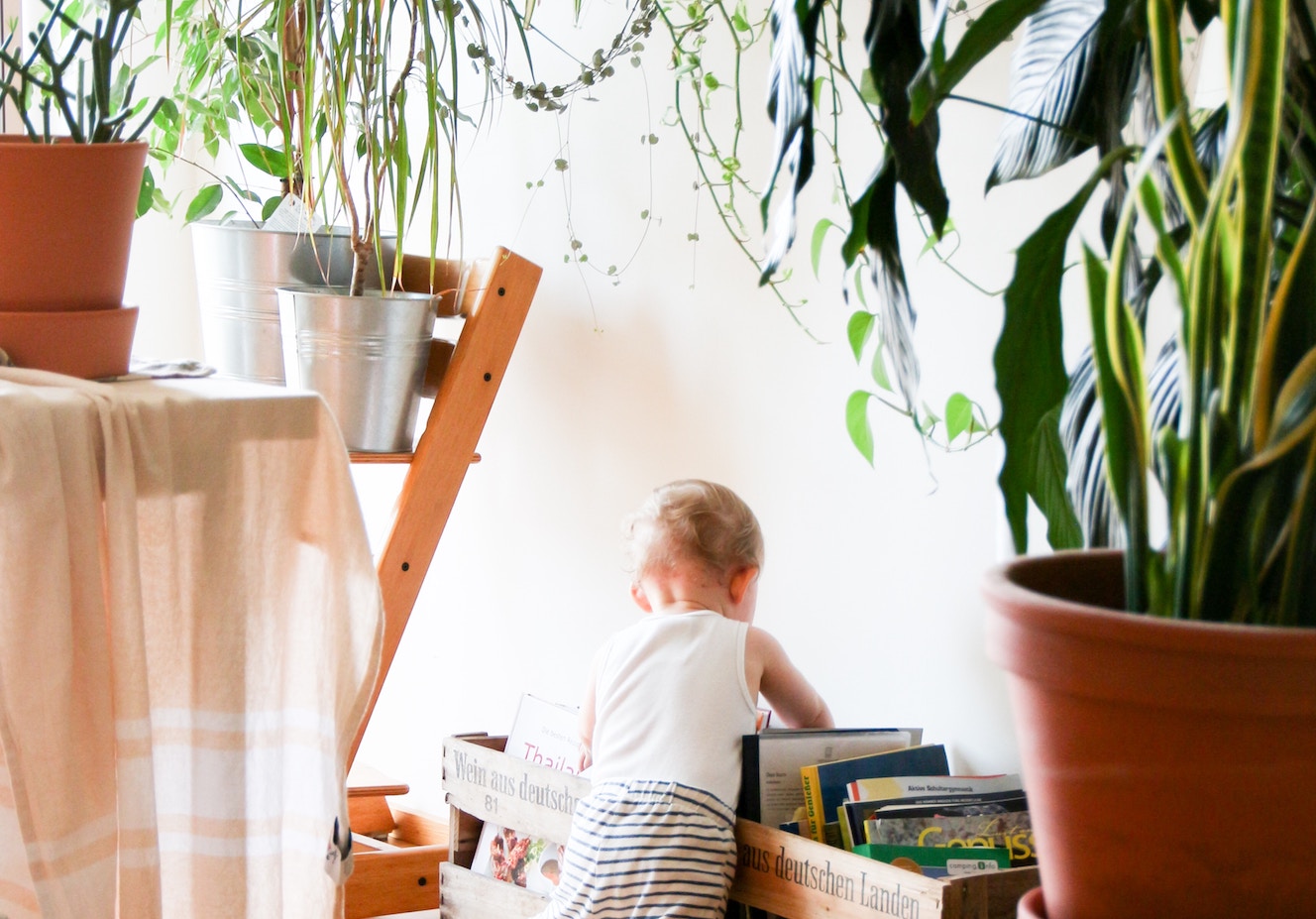 Choosing Safe Plants and Flowers for Your Kids’ Bedroom