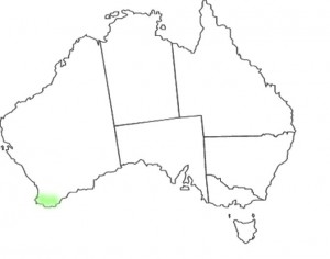 Caladenia brownii map