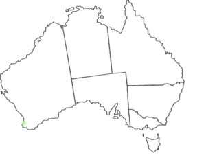 Caladenia caesarea map