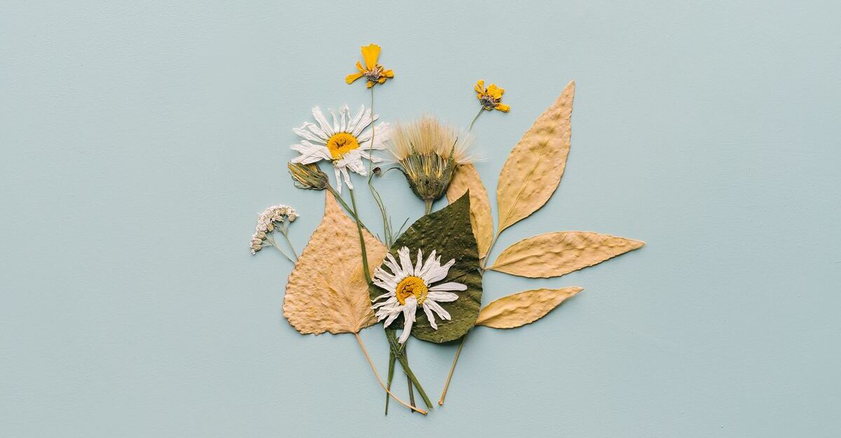 A Guide to Forever Flowers by Flowers Across Melbourne