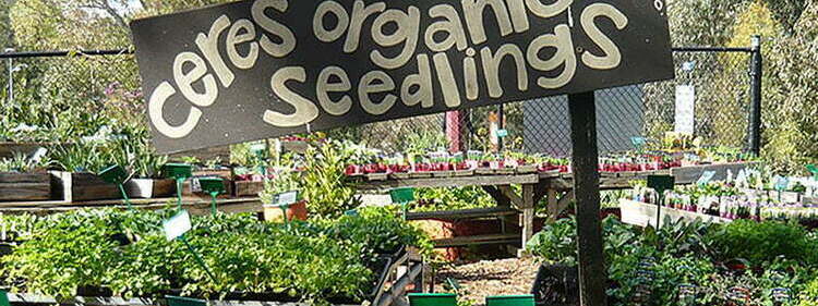 CERES Nursery in Melbourne