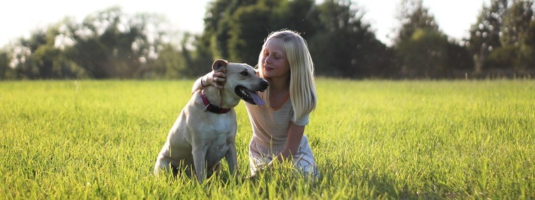 Dog bonding