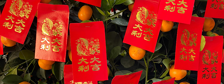 Red and Yellow Fruit Box with Oranges