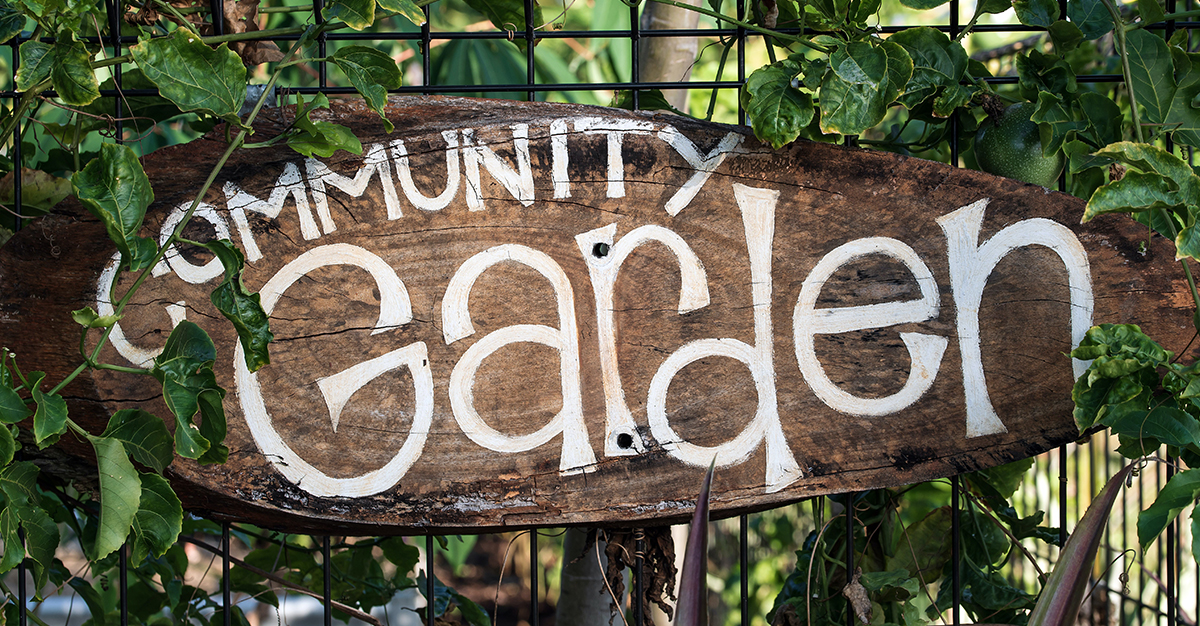 Community Gardens Around Sydney: A Guide by Flowers Across Sydney