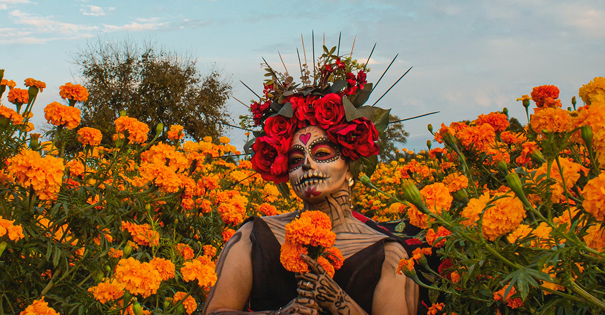 Marigold Flower: Celebrate the Day of the Dead