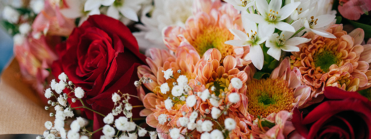 Assorted Flowers