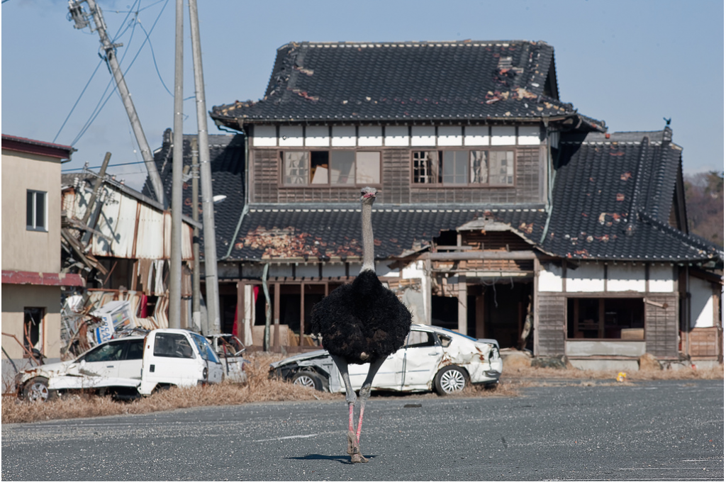 Fukushima
