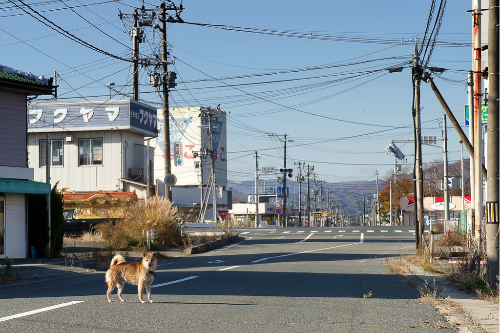 FUKUSHIMA EXCLUSION ZONE