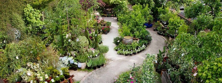 The Garden of Eden Nursery