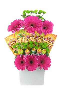Gerbera and fizz