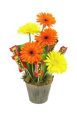 Gerbera and Picnic bars