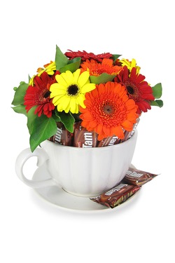 Gerberas and tim tams