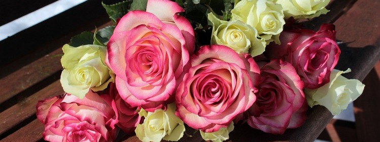 Yellow and Purple scented roses