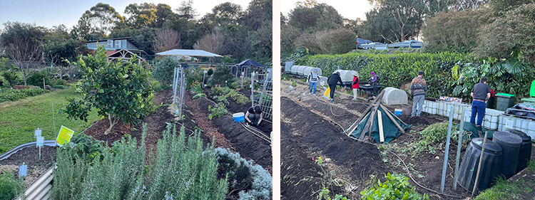 Community People Working in a Garden
