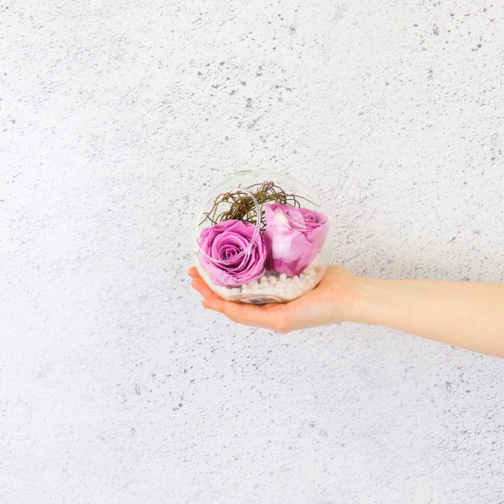 Preserved Rose