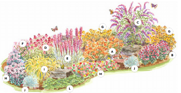 Butterfly Garden Design