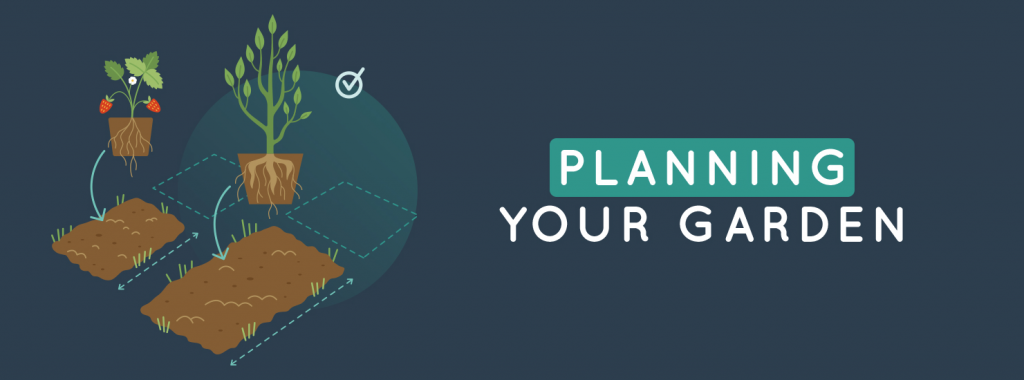 Land and plants representing planning a garden
