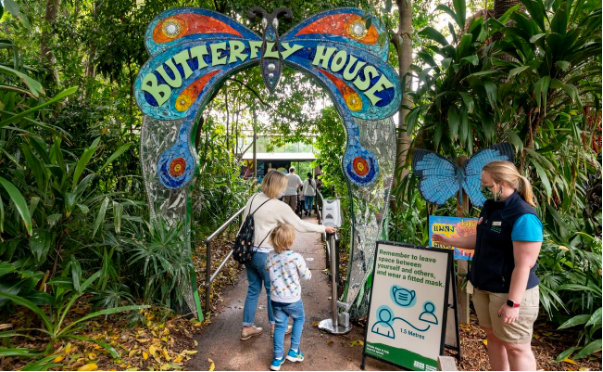 Butterfly House at Melbourne Zoo