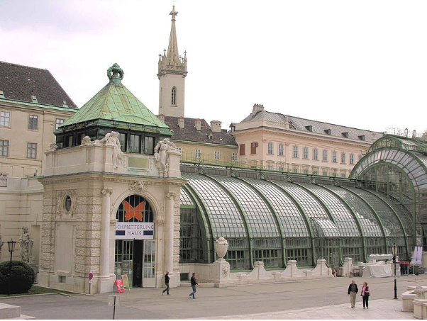 The Imperial Butterfly House Vienna