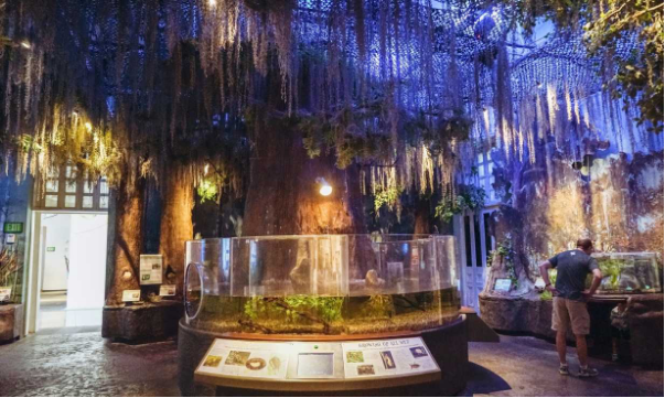 Audubon Butterfly Garden and Insectarium