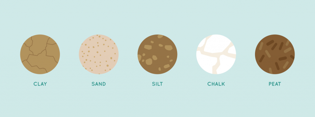 Different Types of Soils