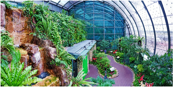 Singapore Changi Airport Butterfly Garden