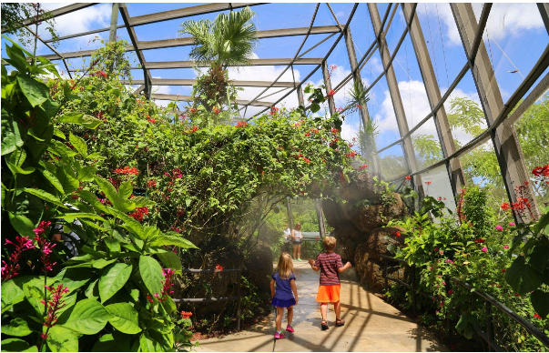 Butterfly World in Coconut Creek Florida