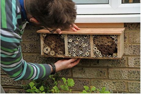 Bee Hotel, DIY, Bees, Garden, Aussie Bees