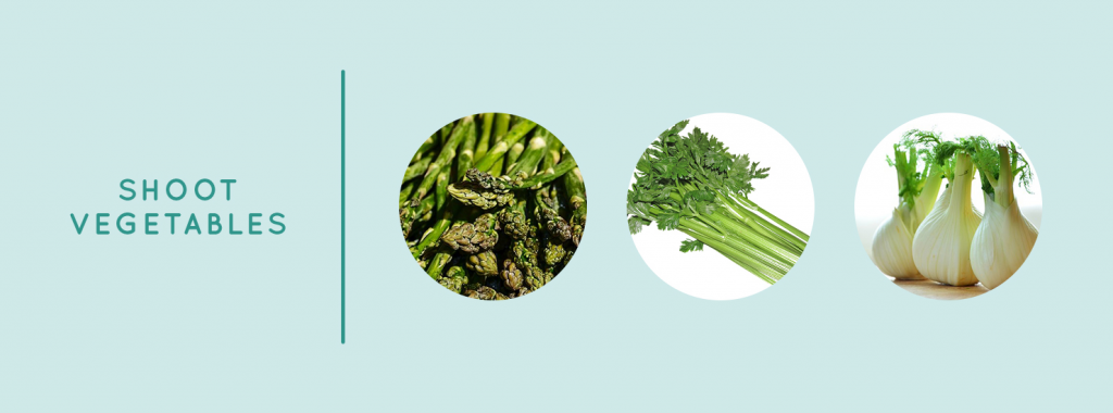 Shoot Vegetables