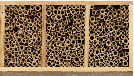 Bee Hotel, DIY, Bees, Garden, Aussie Bees