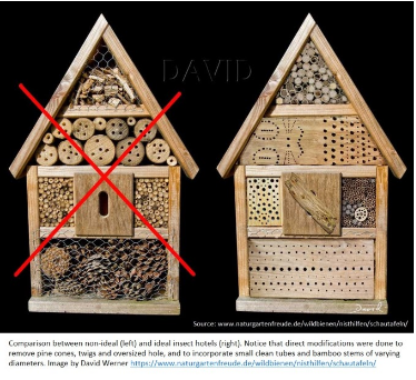 Bee Hotel, DIY, Bees, Garden, Aussie Bees