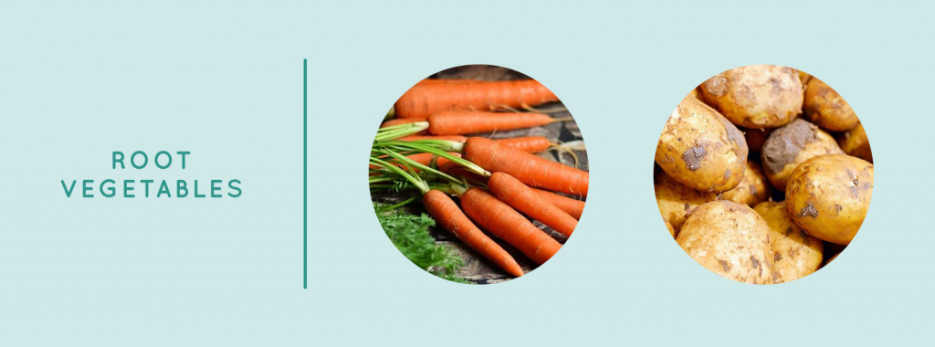 Root Vegetables for organic gardening