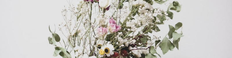 The Ultimate Guide to Dried Flowers