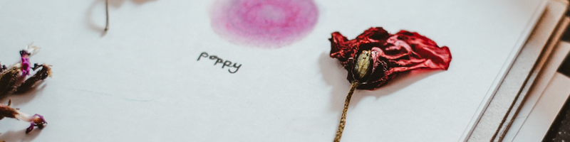 Pressed Flowers | Flowers Across Australia