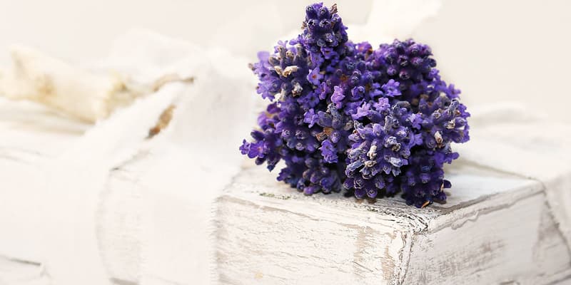 The Secret Benefits and Uses of Lavender