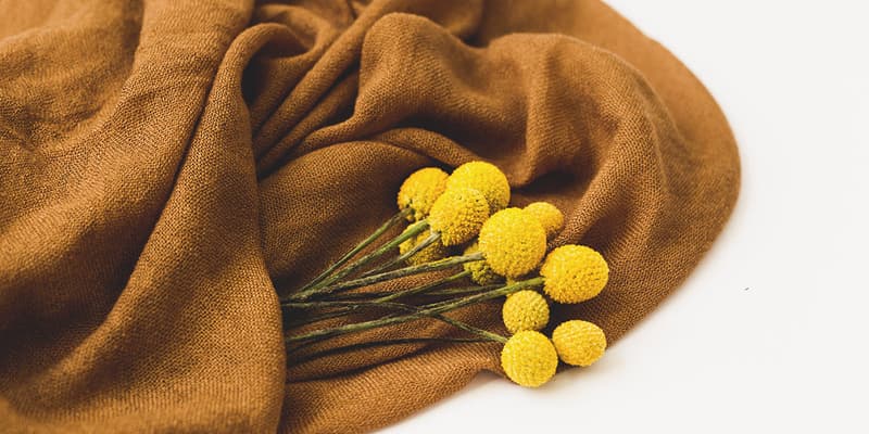 The ultimate guide to Billy Buttons