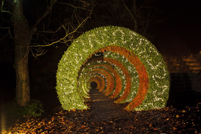 Stef Adriaenssens floral design