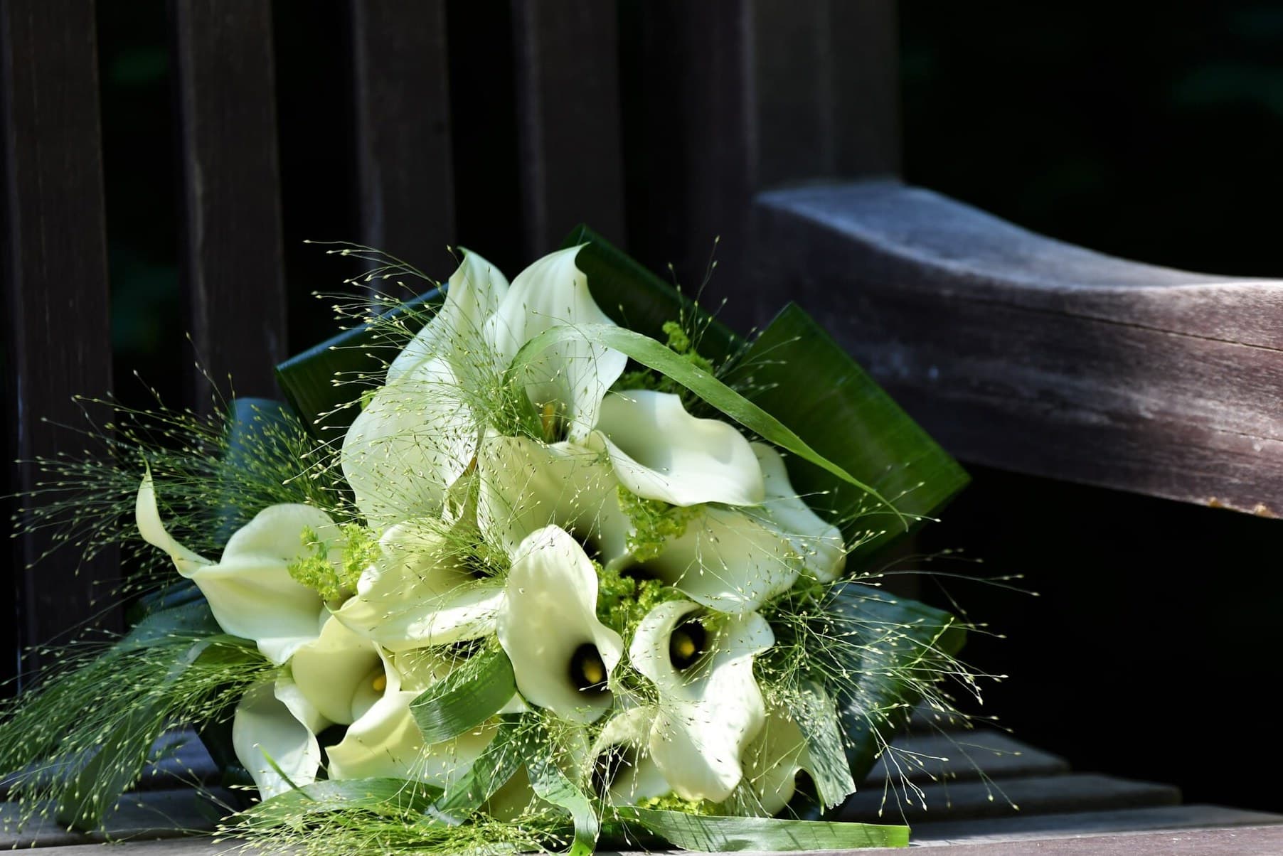 Bouquet of white calla lilies