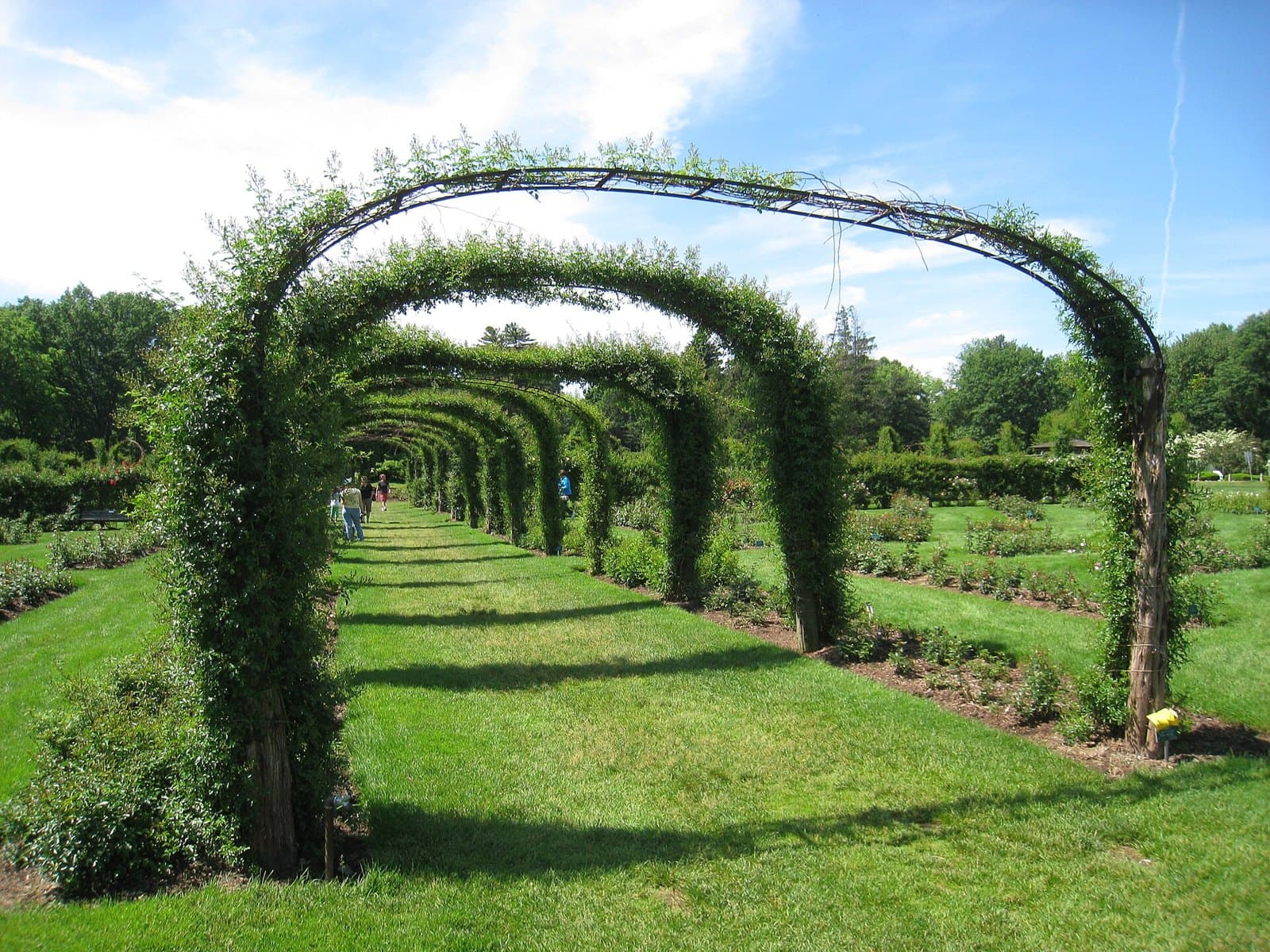 Elizabeth Park rose garden, Hartford, USA