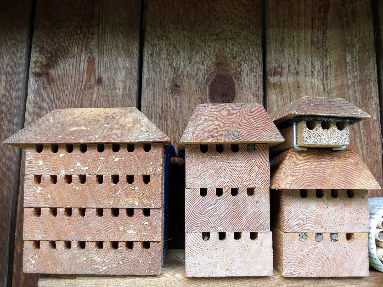 Mason bee houses with drilled nesting holes