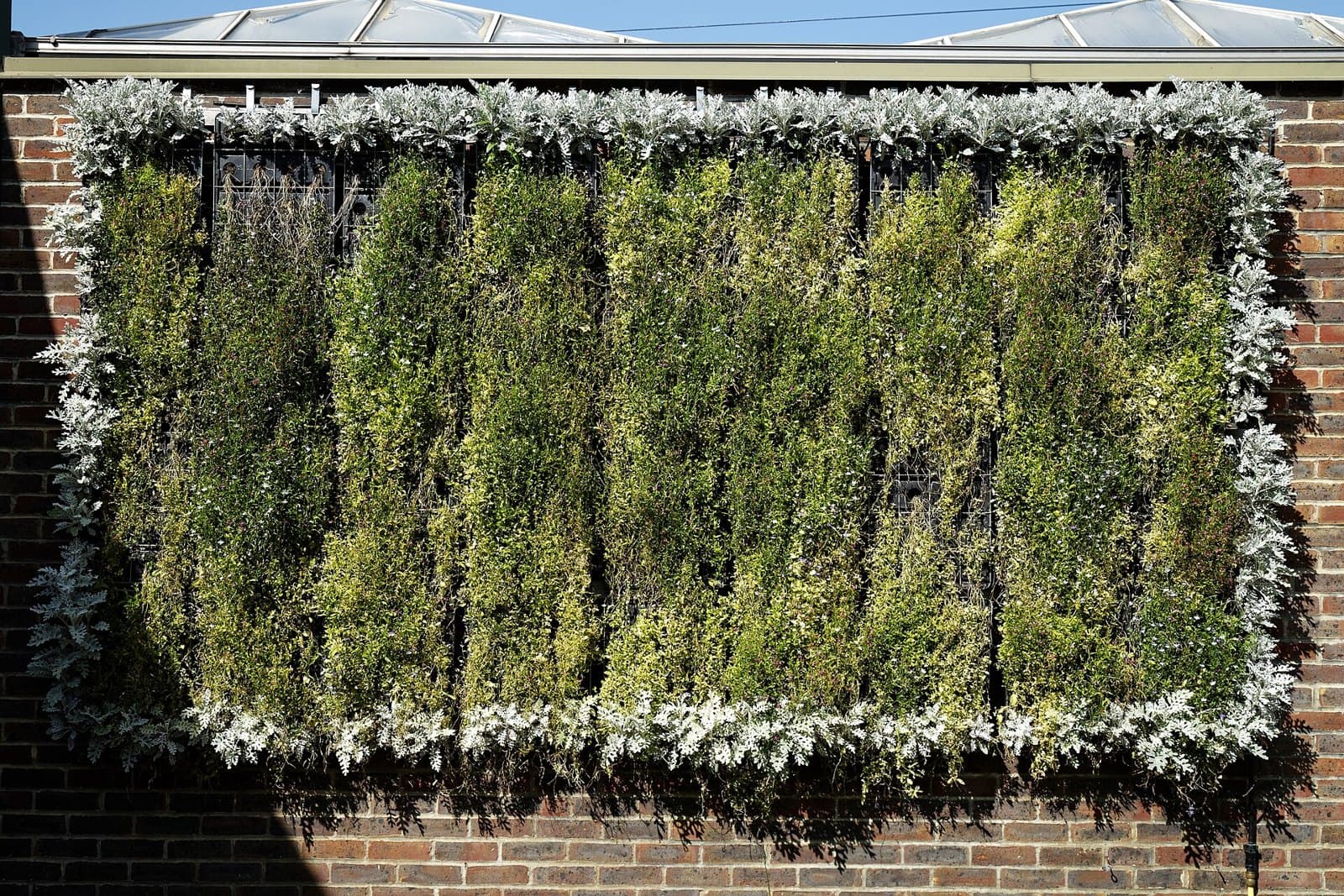 Vertical wall garden planted with greenery