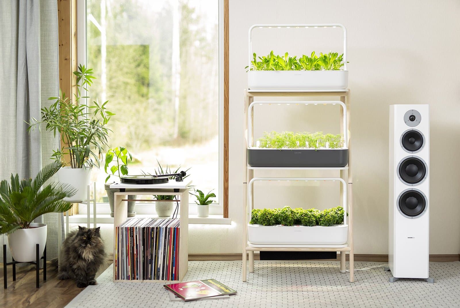 Indoor smart garden growing herbs on a shelf
