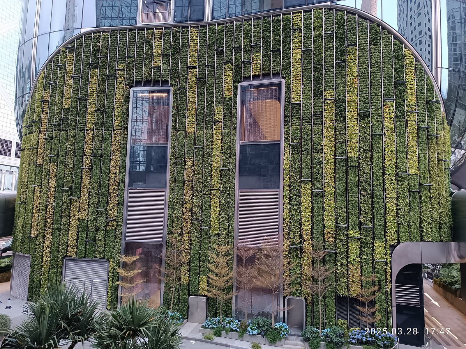 Building facade covered with a green wall