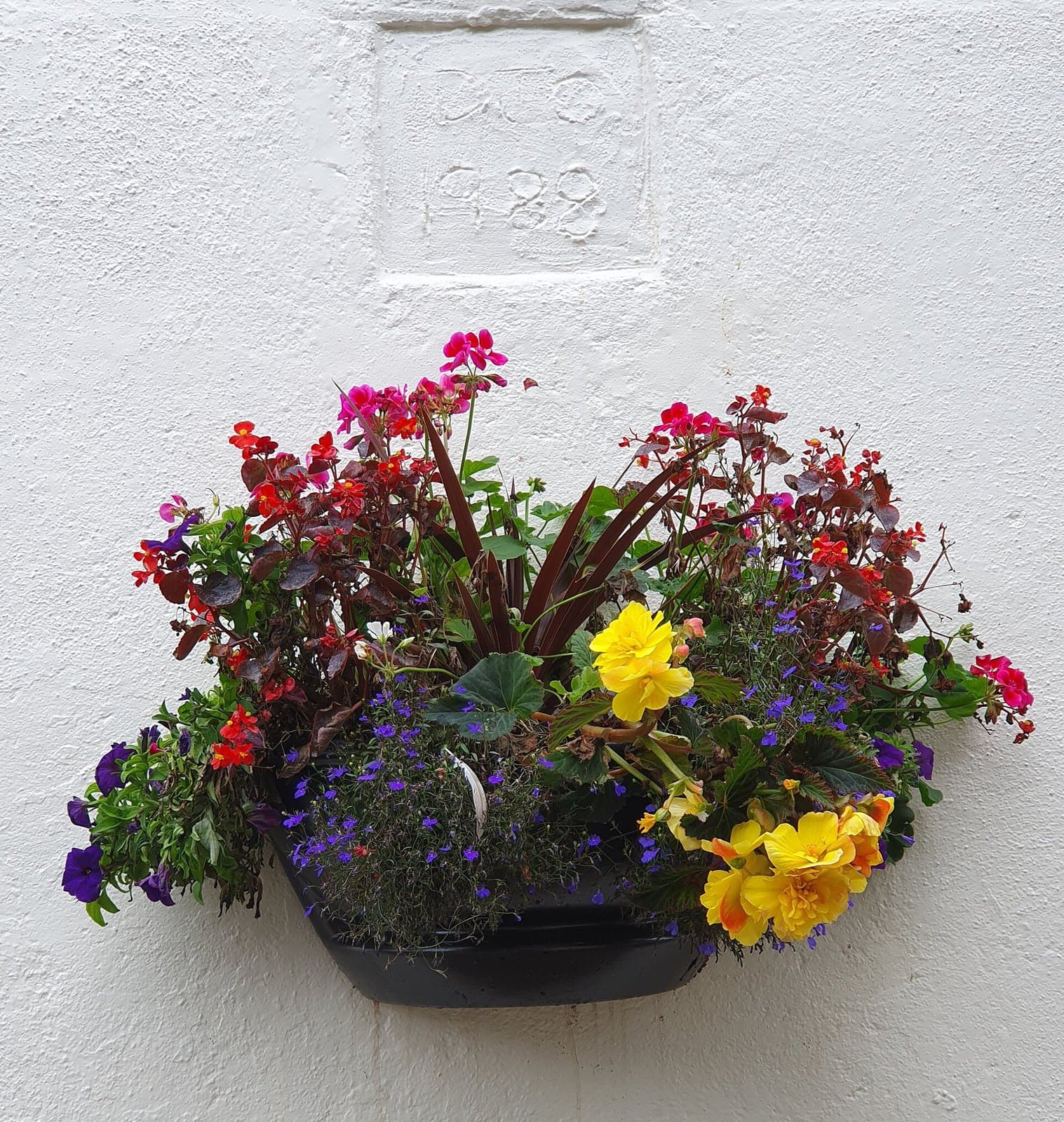 Wall planter filled with flowers