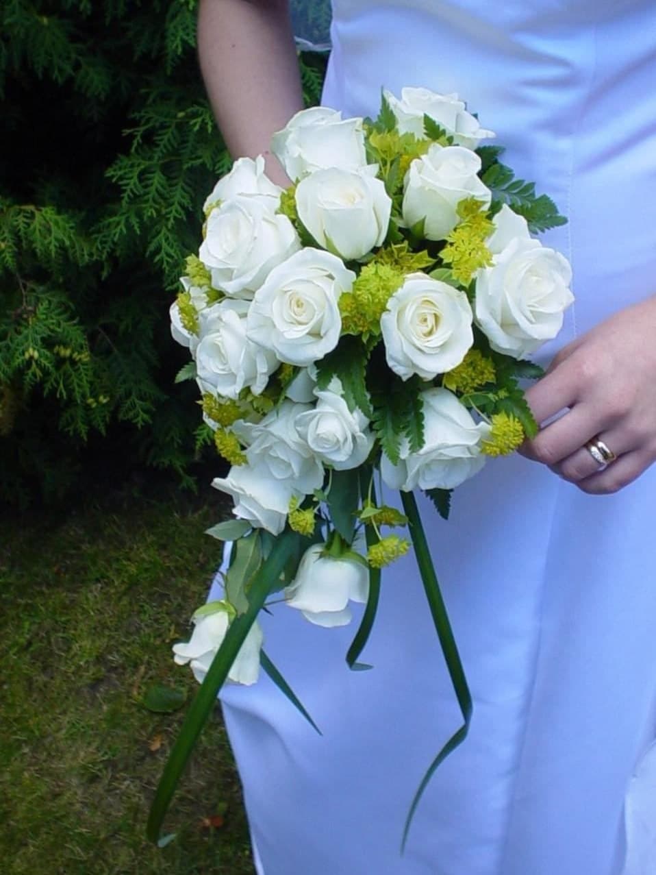 Bride holding a white rose bouquet