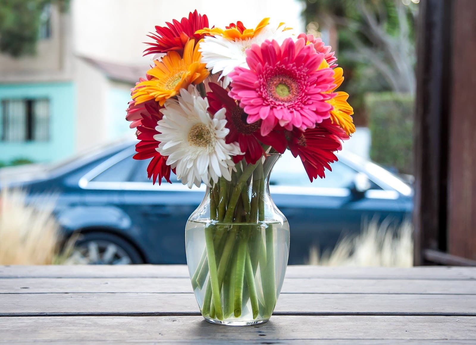 Gerberas in a glass vase