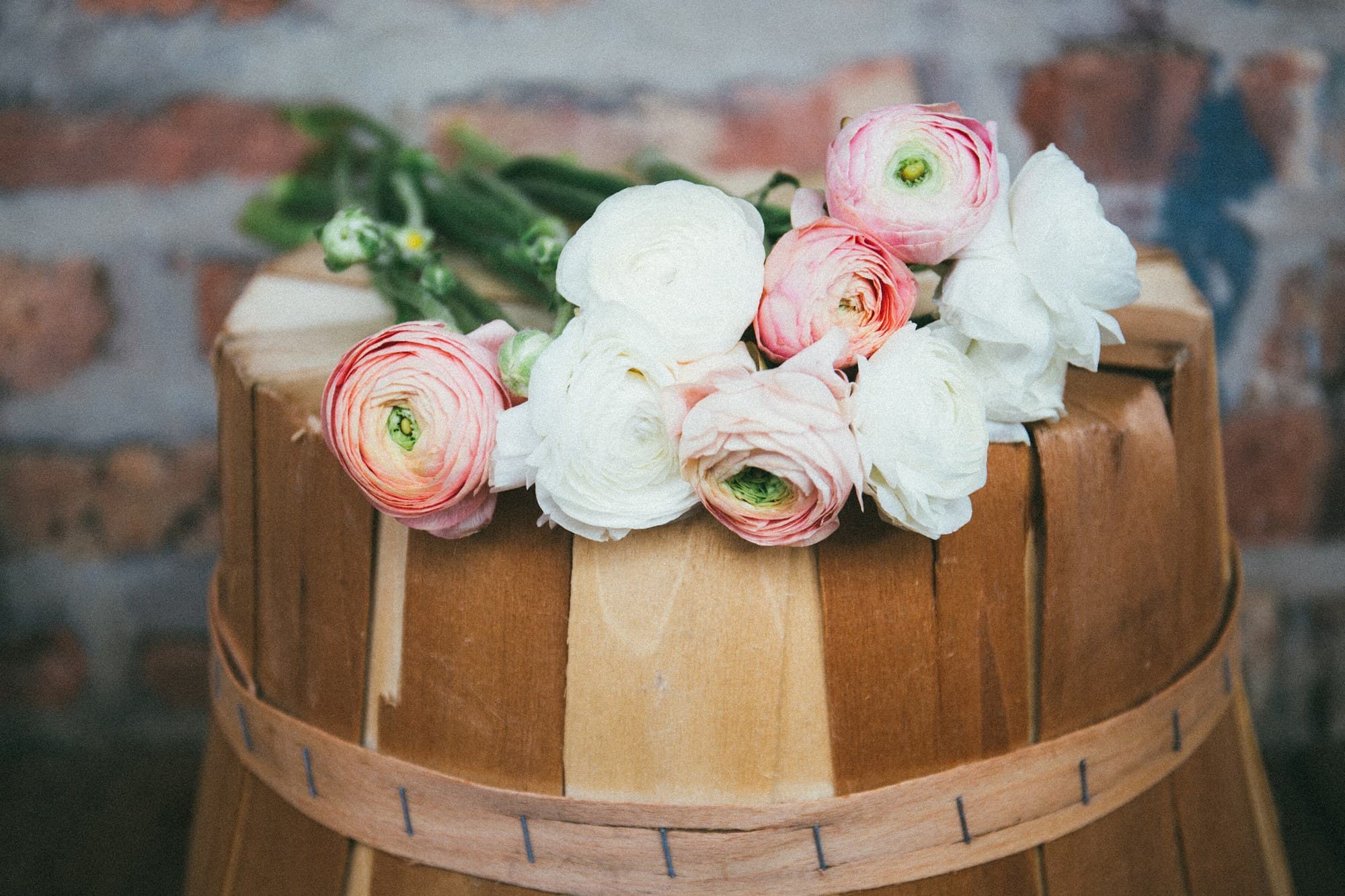 Bouquet of white, cream and pink roses